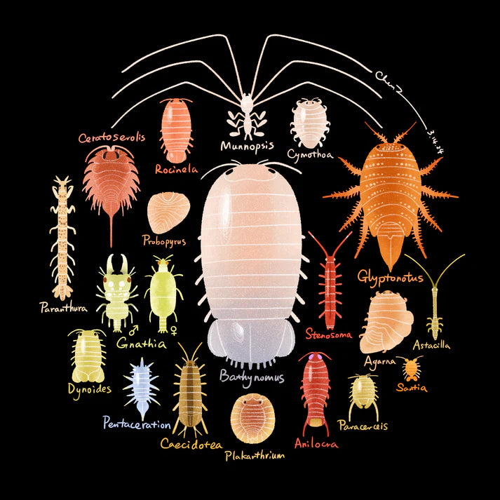 Aquatic isopods print