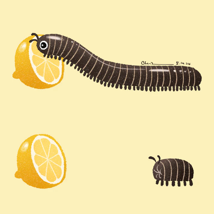 Lemon print
