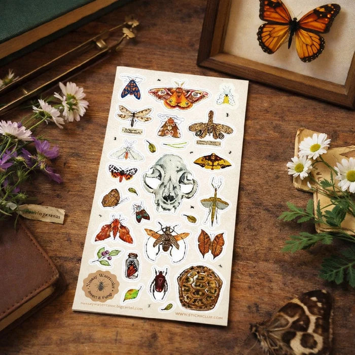 Entomology Cabinet of curiosities Sticker Sheet