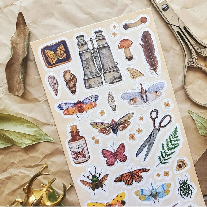 Entomology Vintage Finds Sticker Sheet