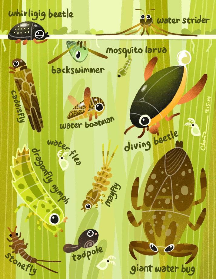 Aquatic arthropods print