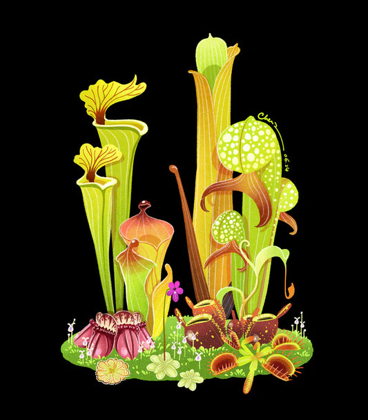 Carnivorous plant print