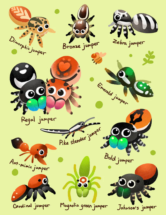 Jumping spiders print