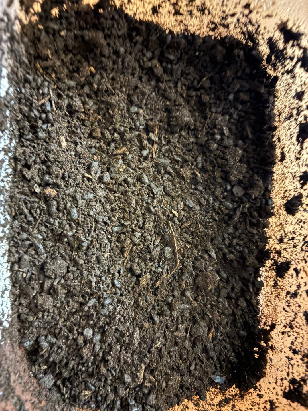 D. grantii larvae growth kit