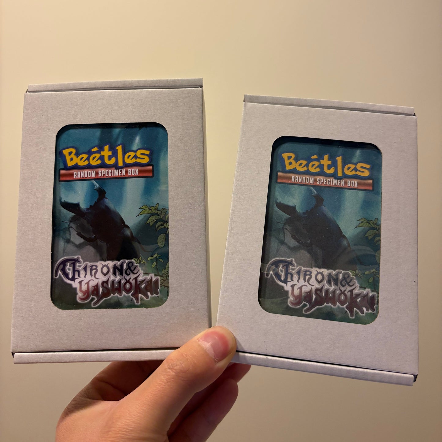 Beetle Blind Box