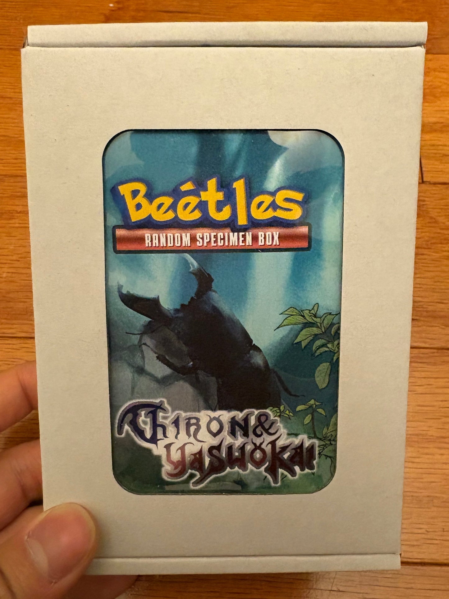 Beetle Blind Box