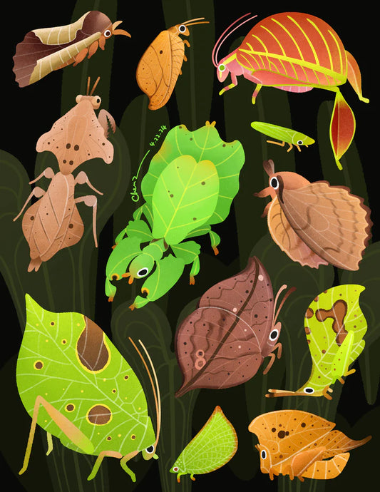 Leaf insects print