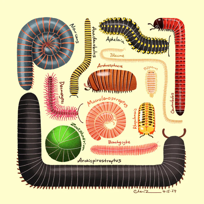 Millipede print