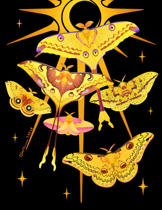 Moon moths and silk moths print