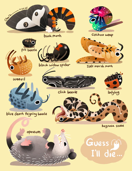 "Guess I'll die" print