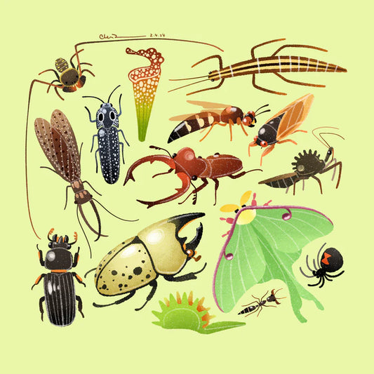 Team east coast print