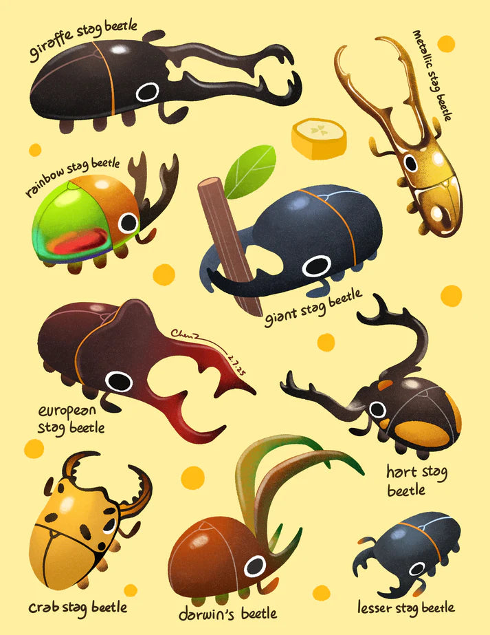 Stagbeetle vertical print