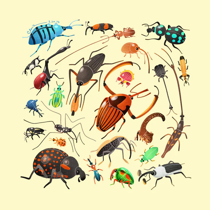 Weevils print
